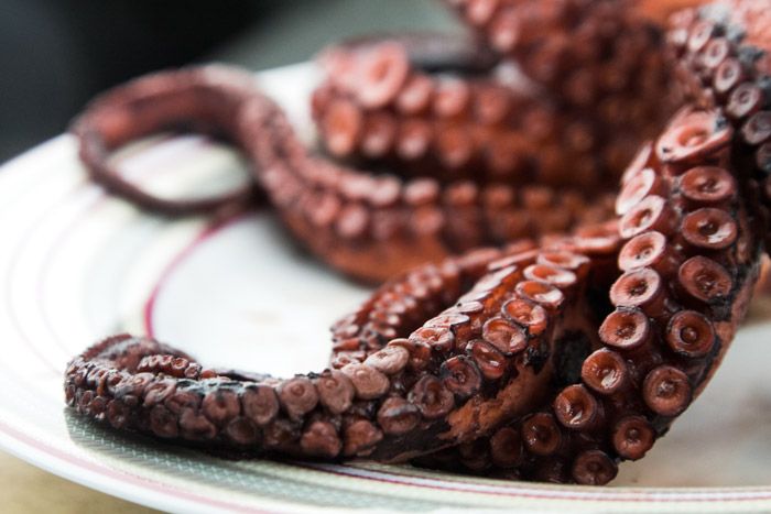 χταπόδι βραστό στα υγρά του